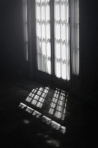 medium_6155996438 (1) for umwelt on auntyamo.com