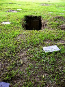 372846331_e0b4166757_n